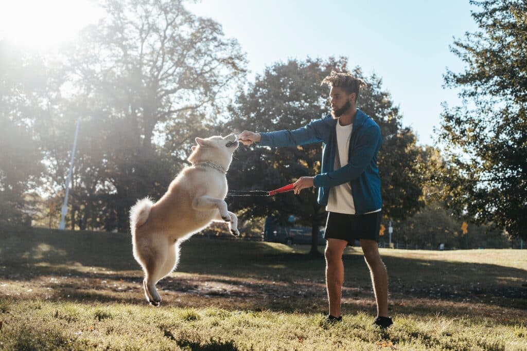 young man training his dog in a park